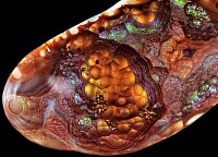 Mexican Fire Agate