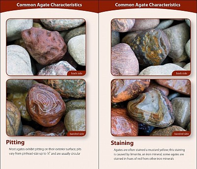 Common Agate Characteristics