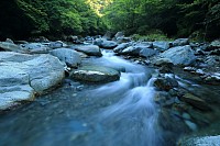 Falls of the Ohio River in Kentucky